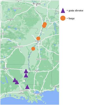 Detection of Foreign Material in Soybean (Glycine max) Grain